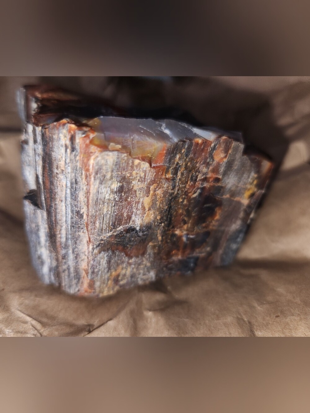 NATURAL PETRIFIED WOOD RAINBOW, AS SHOWN IN PHOTOS
